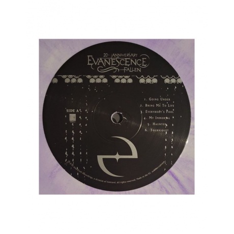 Виниловая пластинка Evanescence, Fallen - deluxe (coloured) (0888072561922) - фото 4