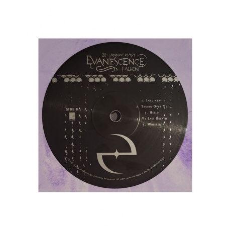 Виниловая пластинка Evanescence, Fallen - deluxe (coloured) (0888072561922) - фото 5