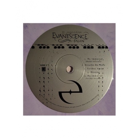 Виниловая пластинка Evanescence, Fallen - deluxe (coloured) (0888072561922) - фото 6