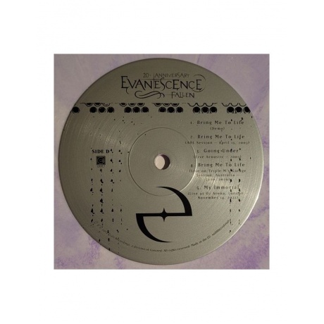Виниловая пластинка Evanescence, Fallen - deluxe (coloured) (0888072561922) - фото 7