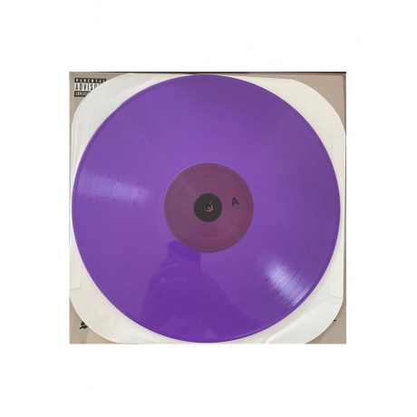 Виниловая пластинка Aalegra, Snoh, Temporary Highs In The Violet Skles (0810061165705) - фото 5