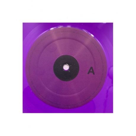 Виниловая пластинка Aalegra, Snoh, Temporary Highs In The Violet Skles (0810061165705) - фото 6