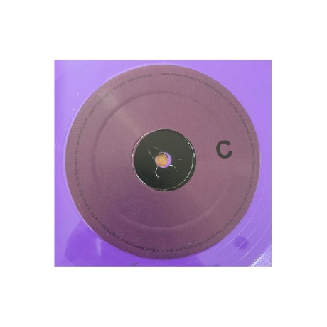 Виниловая пластинка Aalegra, Snoh, Temporary Highs In The Violet Skles (0810061165705) - фото 8