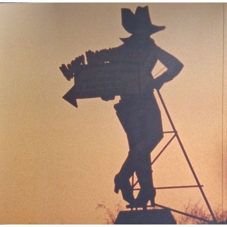 OST - Flag Day (Eddie Vedder) (0602438699087) виниловая пластинка - фото 4