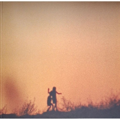 OST - Flag Day (Eddie Vedder) (0602438699087) виниловая пластинка - фото 5