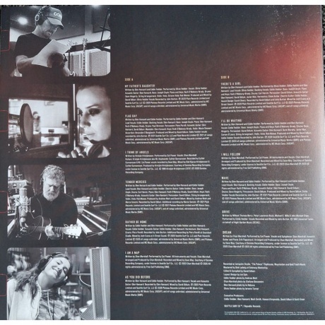 OST - Flag Day (Eddie Vedder) (0602438699087) виниловая пластинка - фото 9