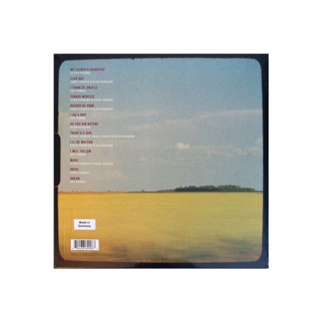 Виниловая пластинка OST, Flag Day (Eddie Vedder) (0602438699087) - фото 2