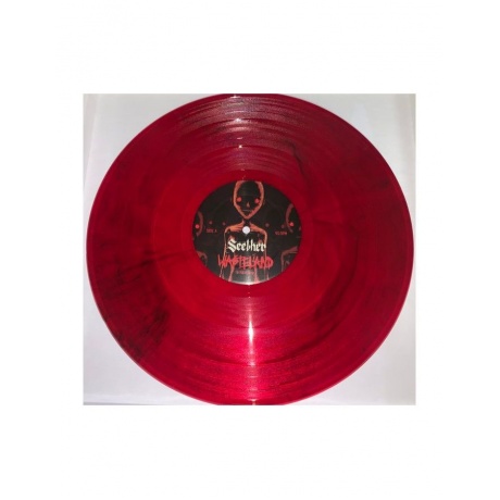 Виниловая пластинка Seether, Wasteland - The Purgatory (EP) (0888072275225) - фото 5