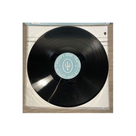 Twenty One Pilots - Scaled And Icy (0075678641558) виниловая пластинка - фото 3