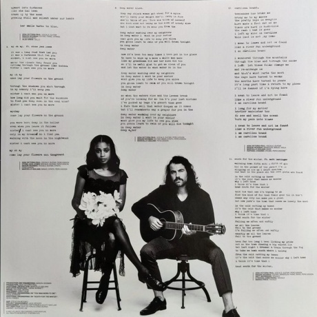 Adia Victoria - A Southern Gothic (0075678641916) виниловая пластинка - фото 6