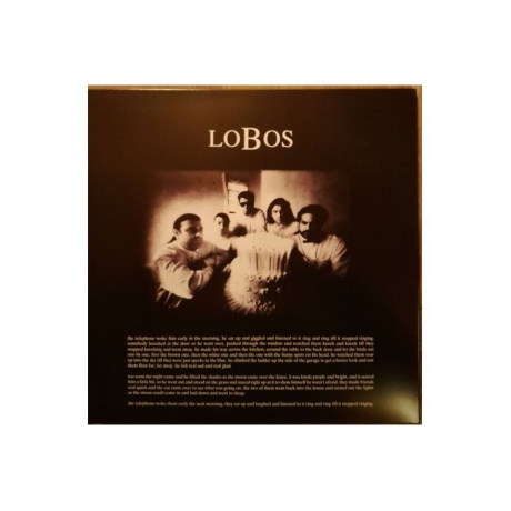 0081227884048, Виниловая пластинка Los Lobos, Kiko - фото 6