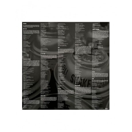 Linkin Park - Meteora (0093624853343) виниловая пластинка - фото 8