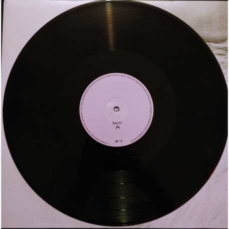 Ophelie Winter - No Soucy! (0190296719134) виниловая пластинка - фото 7