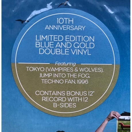 The Wombats - This Modern Glitch (coloured) (0190296754951) виниловая пластинка - фото 15