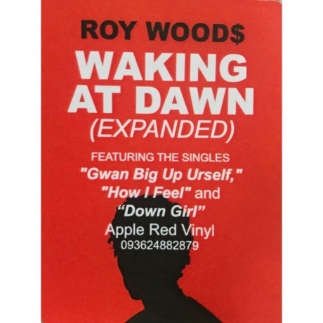 Roy Woods - Waking At Dawn (coloured) (0093624882879) виниловая пластинка - фото 7