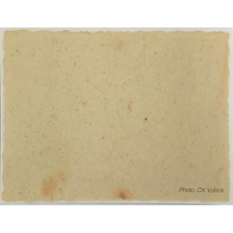 Neil Young - Barn (0093624876649) виниловая пластинка - фото 11