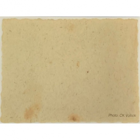 Neil Young - Barn (0093624876649) виниловая пластинка - фото 13