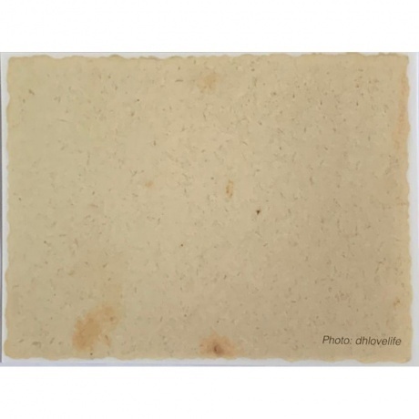 Neil Young - Barn (0093624876649) виниловая пластинка - фото 15