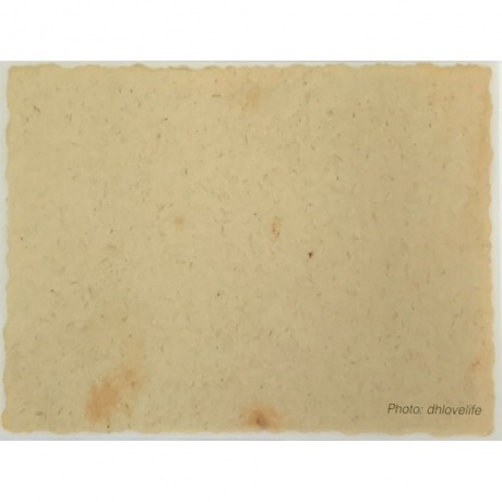 Neil Young - Barn (0093624876649) виниловая пластинка - фото 17