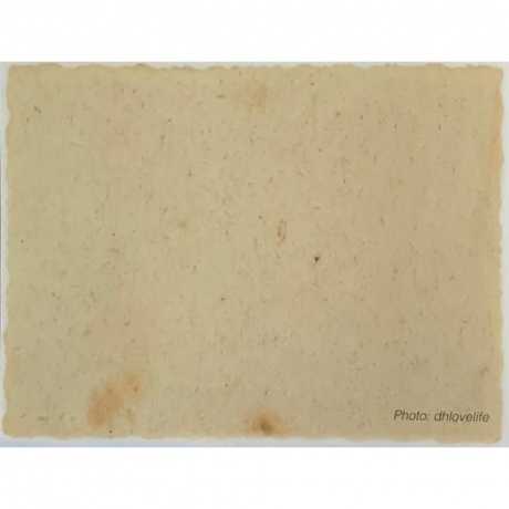 Neil Young - Barn (0093624876649) виниловая пластинка - фото 19