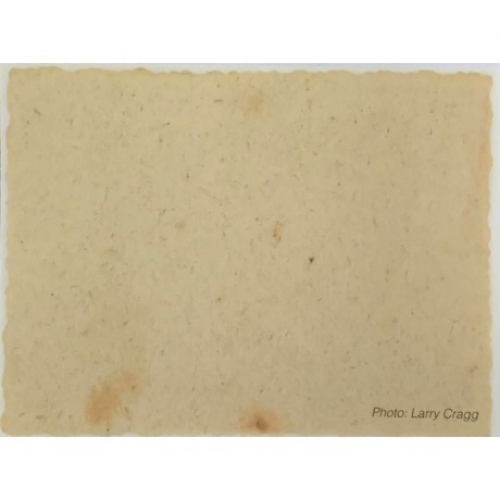 Neil Young - Barn (0093624876649) виниловая пластинка - фото 9