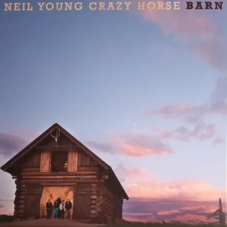 Neil Young - Barn (Box) (0093624877547) виниловая пластинка