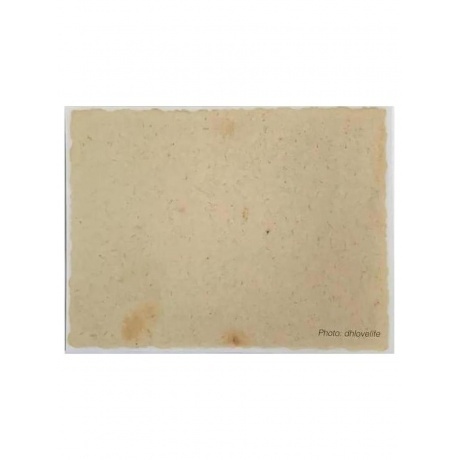 Neil Young - Barn (Box) (0093624877547) виниловая пластинка - фото 24