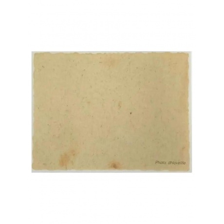 Neil Young - Barn (Box) (0093624877547) виниловая пластинка - фото 26