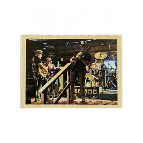 Neil Young - Barn (Box) (0093624877547) виниловая пластинка - фото 27