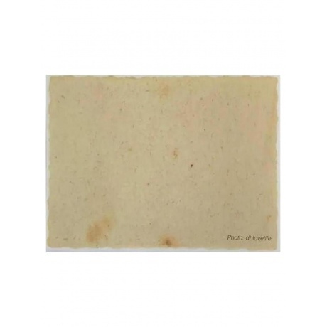 Neil Young - Barn (Box) (0093624877547) виниловая пластинка - фото 28