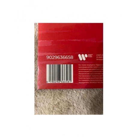 Сплин - Вира и Майна (0190296366581) виниловая пластинка - фото 6