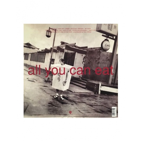 0093624603412, Виниловая пластинка K.D. Lang, All You Can Eat (coloured) - фото 2