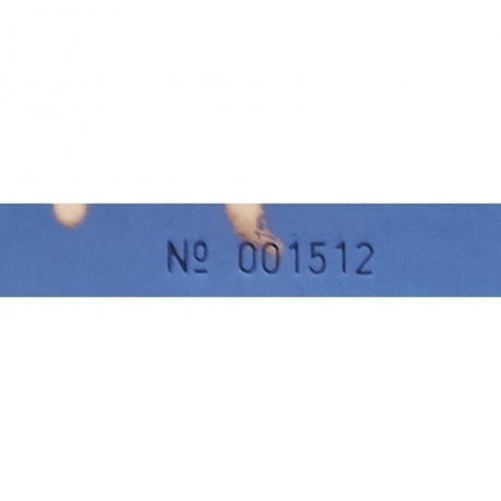 Old 97's - Fight Songs (0081227892487) виниловая пластинка - фото 3