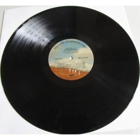 The Regrettes - Further Joy (0093624876991) виниловая пластинка - фото 5