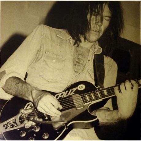 The Ducks - High Flyin' (0093624885061) виниловая пластинка - фото 2