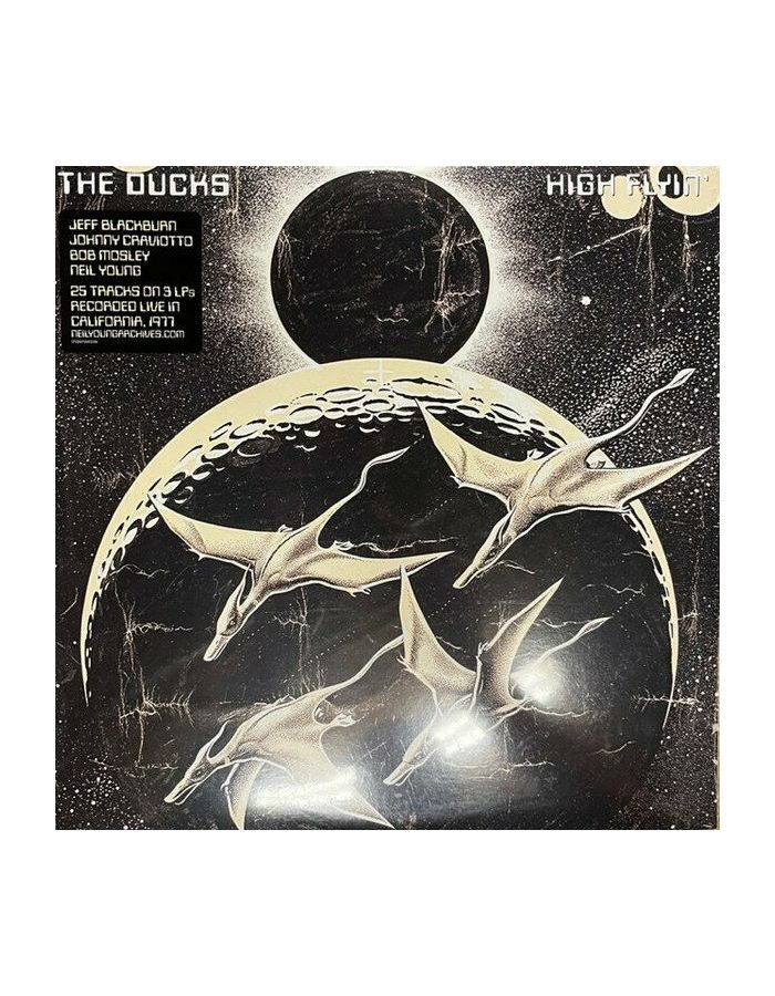 Виниловая пластинка Ducks, The, High Flyin' (0093624885061) компакт диски verve records nina simone fodder on my wings cd