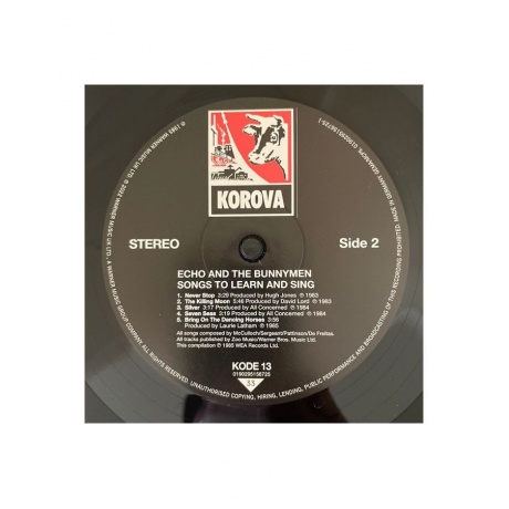 Виниловая пластинка Echo &amp; The Bunnymen, Songs To Learn &amp; Sing (0190295156725) - фото 4
