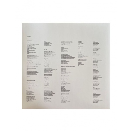 Виниловая пластинка Echo &amp; The Bunnymen, Songs To Learn &amp; Sing (0190295156725) - фото 8