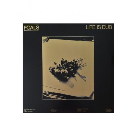 Виниловая пластинка Foals, Life Is Dub (coloured) (5054197405761) - фото 1