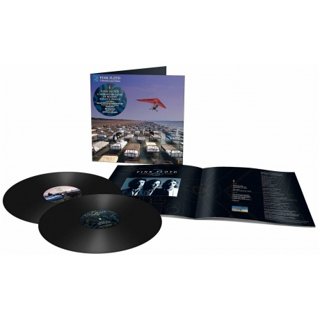 Виниловая пластинка Pink Floyd, A Momentary Lapse Of Reason (Remixed &amp; Updated) (0190295079208) - фото 1
