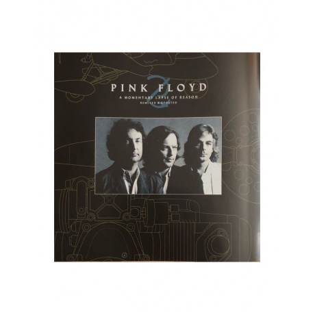 Виниловая пластинка Pink Floyd, A Momentary Lapse Of Reason (Remixed &amp; Updated) (0190295079208) - фото 11