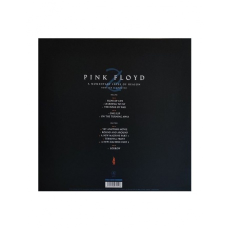 Виниловая пластинка Pink Floyd, A Momentary Lapse Of Reason (Remixed &amp; Updated) (0190295079208) - фото 4