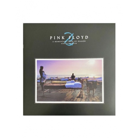 Виниловая пластинка Pink Floyd, A Momentary Lapse Of Reason (Remixed &amp; Updated) (0190295079208) - фото 9
