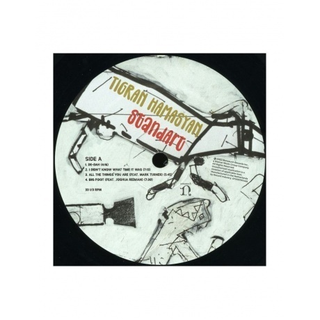 Tigran Hamasyan - Standart (0075597911466) виниловая пластинка - фото 3