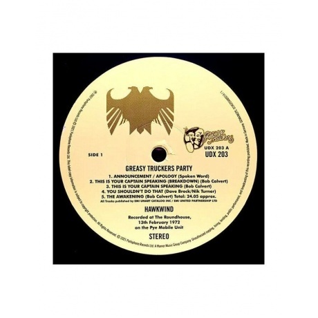 0190295089214, Hawkwind, Greasy Truckers Party виниловая пластинка - фото 4