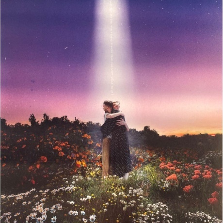 

Honne - Let's Just Say The World Ended A Week From Now, What Would You Do (0190296684012) виниловая пластинка