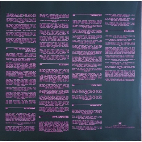 Blink-182 One - More Time… (0196587782313) виниловая пластинка - фото 6