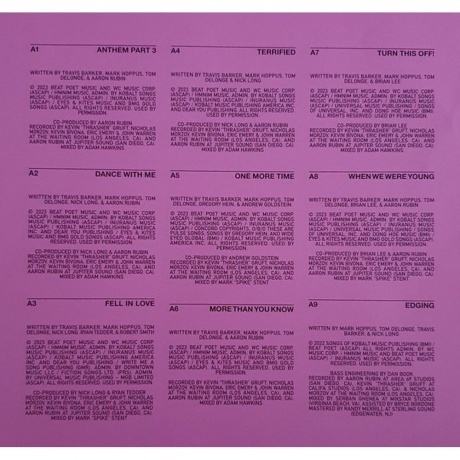 Blink-182 One - More Time… (0196587782313) виниловая пластинка - фото 7