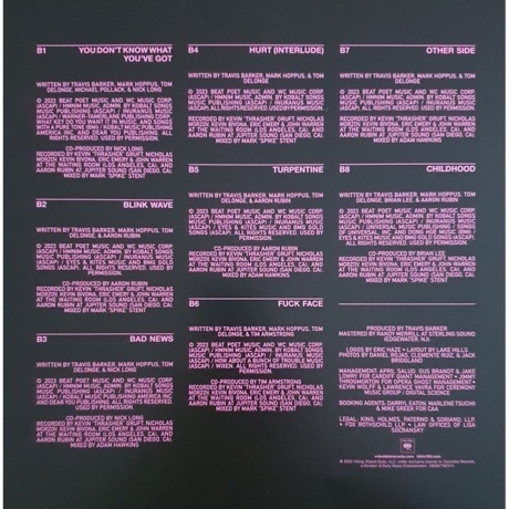 Blink-182 One - More Time… (0196587782313) виниловая пластинка - фото 8