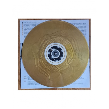 0602508839290, Виниловая пластинкаBon Jovi, 2020 (coloured) - фото 9